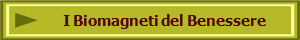 I Biomagneti del Benessere