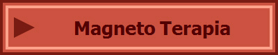 Magneto Terapia
