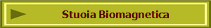 Stuoia Biomagnetica
